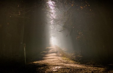 背景與其他