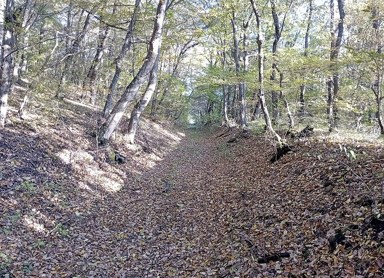 背景與其他