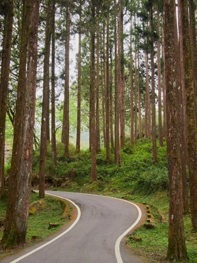 背景與其他
