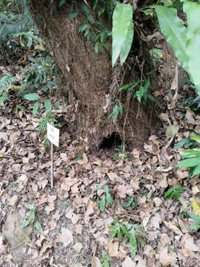 背景與其他