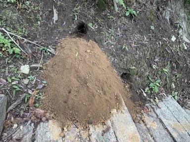 背景與其他