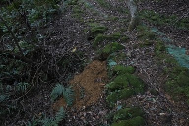 背景與其他