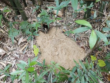 背景與其他