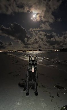 狗