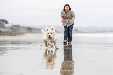 狗